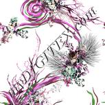Colour:B