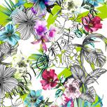 Colour:A