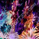 Colour:F