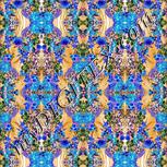 Colour:F