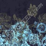 Colour:F