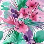 Colour:B