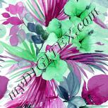 Colour:C