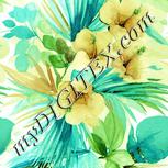 Colour:K