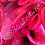Colour:B