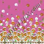 Colour:B