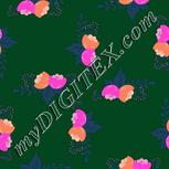 Colour:B