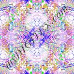 Colour:B