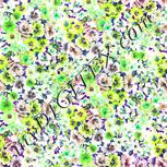 Colour:C