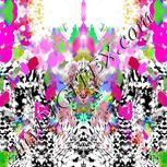 Colour:B