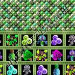 Colour:D
