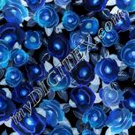 Colour:F