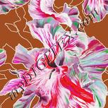 Colour:A