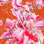 Colour:J