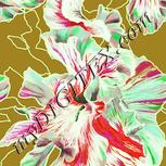 Colour:K