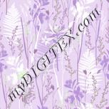 Colour:A