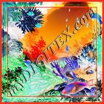 Colour:F