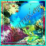 Colour:K
