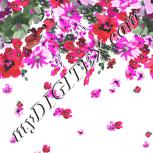 Colour:B