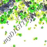 Colour:D