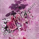 Colour:B