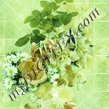 Colour:K