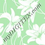 Colour:K