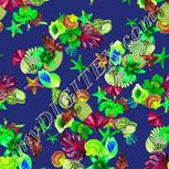 Colour:D