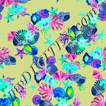 Colour:F