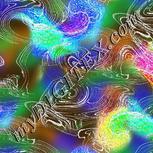 Colour:F