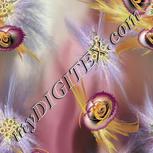Colour:A