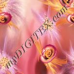 Colour:J