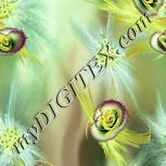 Colour:K
