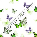 Colour:D
