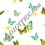 Colour:K