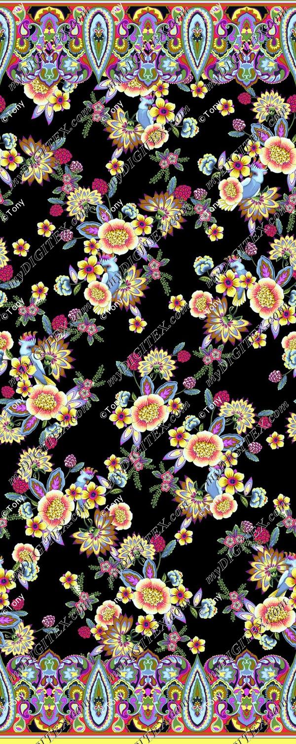 D015318_MONI140283-af_NAG_+10% C#2