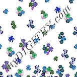 Colour:F