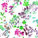 Colour:C