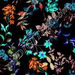 Colour:F