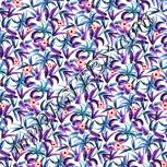 Colour:B