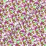 Colour:D