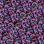 Colour:F
