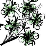 Colour:D