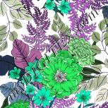 Colour:C