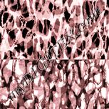 Colour:J