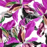 Colour:B
