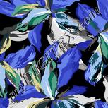 Colour:F