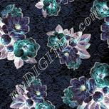 Colour:F