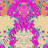 Colour:B