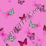 Colour:B